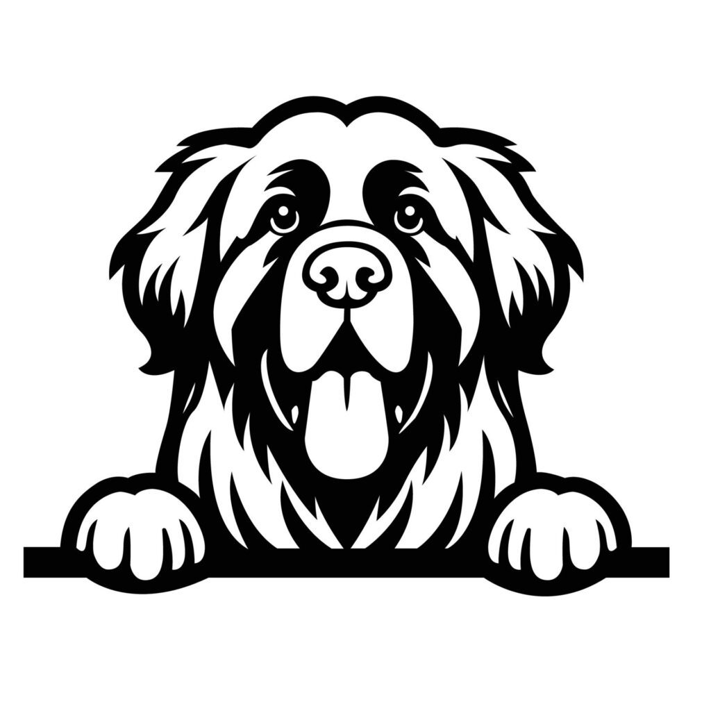 Black And White Leonberger peeking face illustration vector Free Vector