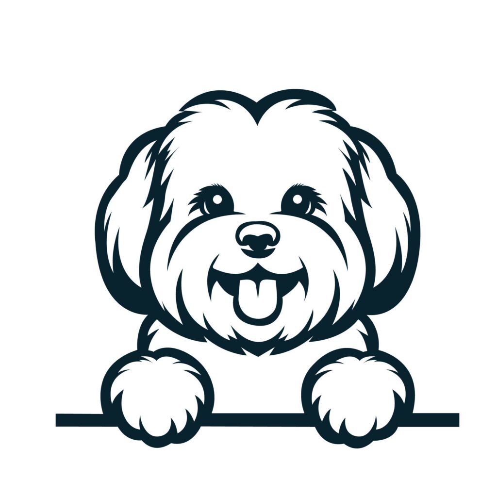 Black And White Maltese peeking face illustration vector Free Vector