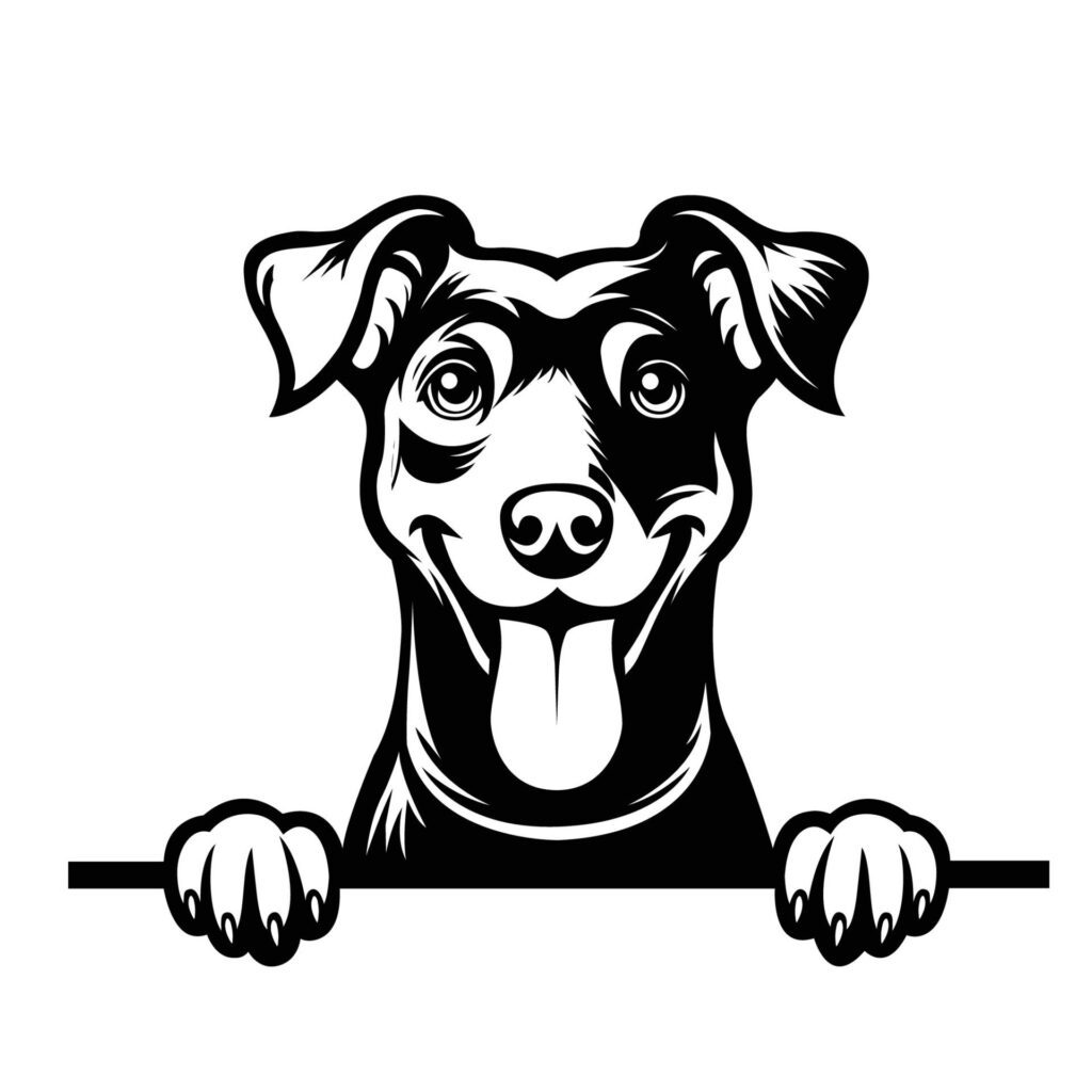 Black And White Manchester Terrier peeking face illustration vector Free Vector