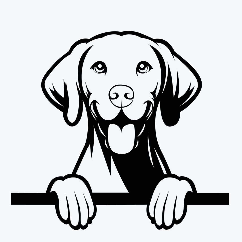 Black And White Vizsla peeking face illustration vector Free Vector