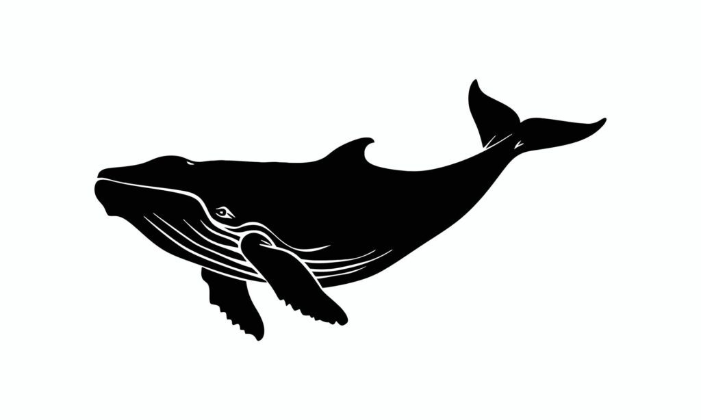 Black whale silhouette Free Vector