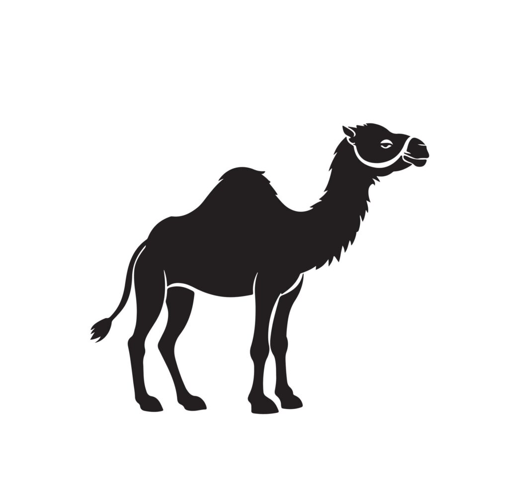 Camel silhouette vector illustration on white background Free Vector