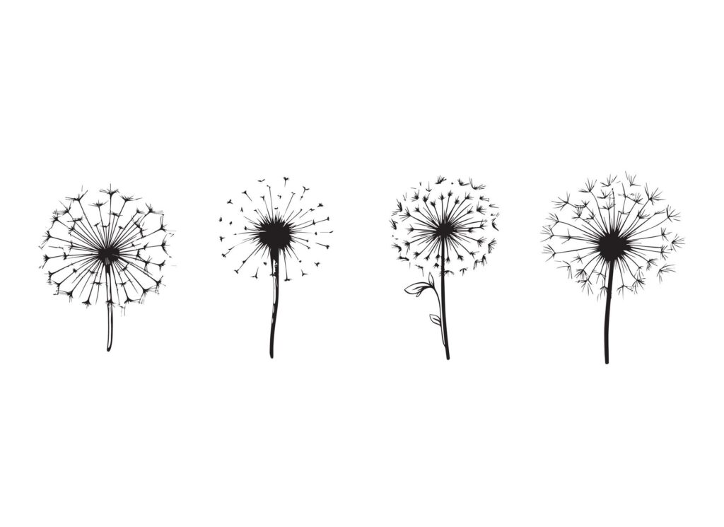 dandelion design illustration isolated on white background Free Vector