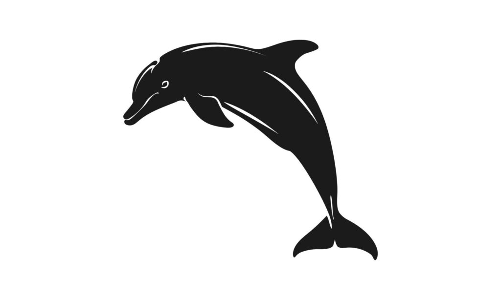 vector dolphin black silhouette background Free Vector