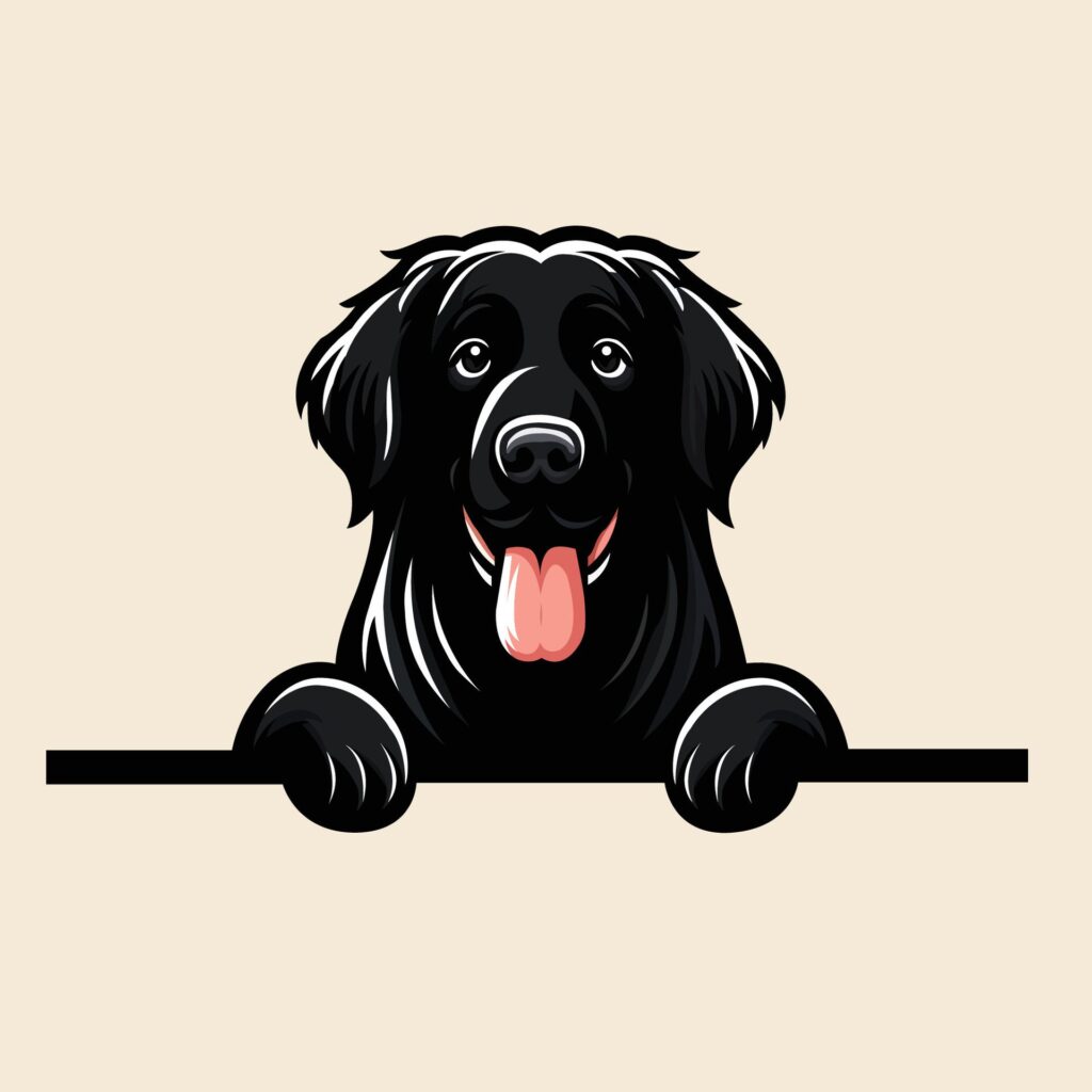 Flat-coated Retriever dog peeking Face illustration Free vector Free Vector