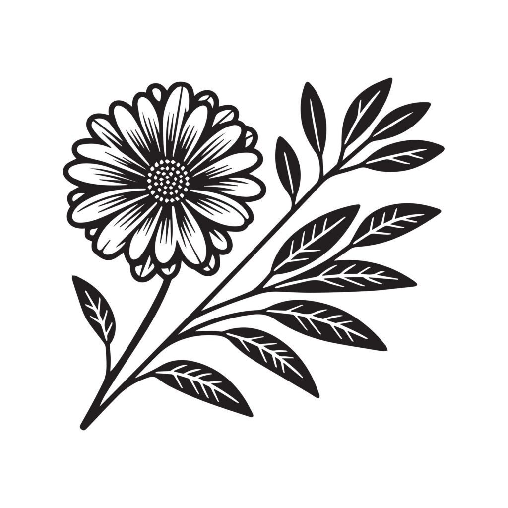 Gerbera flower silhouette black and white illustration Free Vector