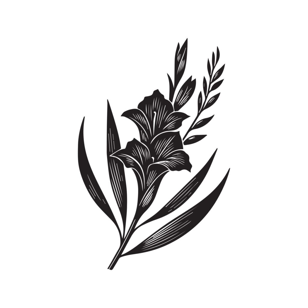 Gladiolus flower silhouette black and white illustration Free Vector