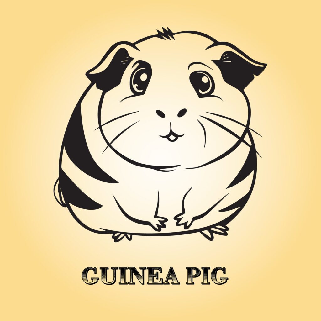 Guinea pig is a sitting vector illustration in black and white Free Vector