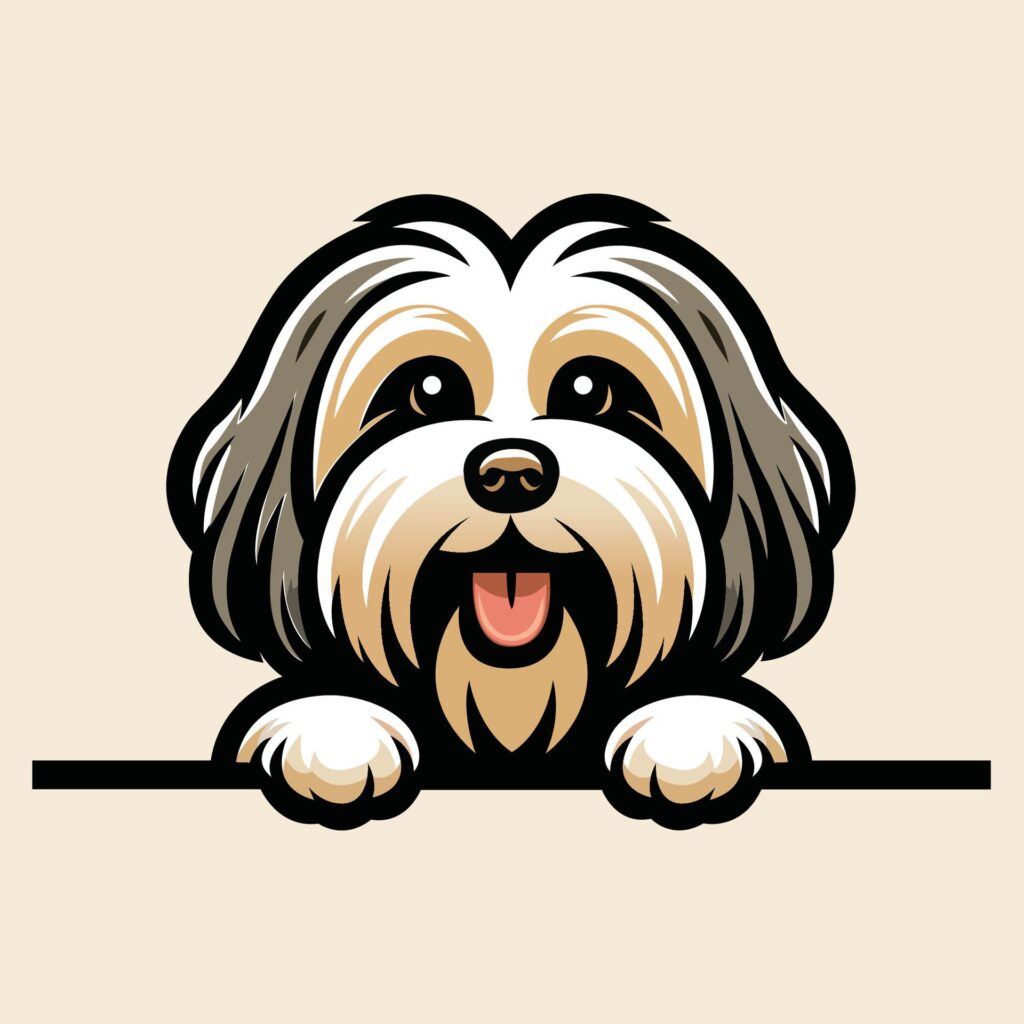 Havanese dog peeking Face illustration vector Free Vector