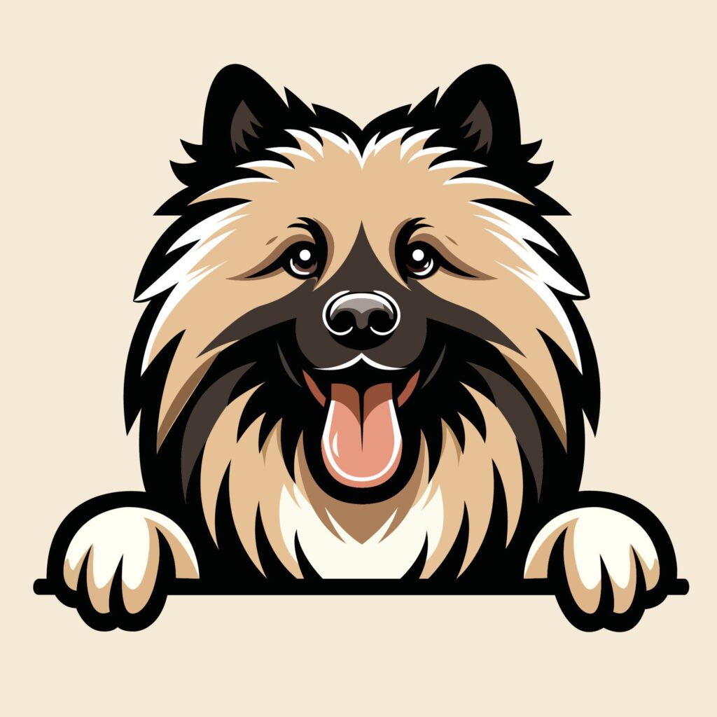 Keeshond dog peeking Face illustration Free vector Free Vector