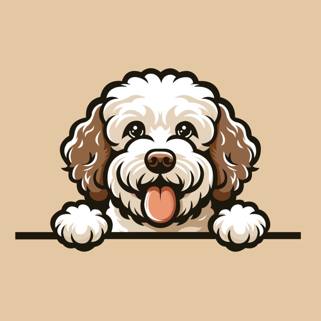 Lagotto Romagnolo peeking face illustration vector Free Vector