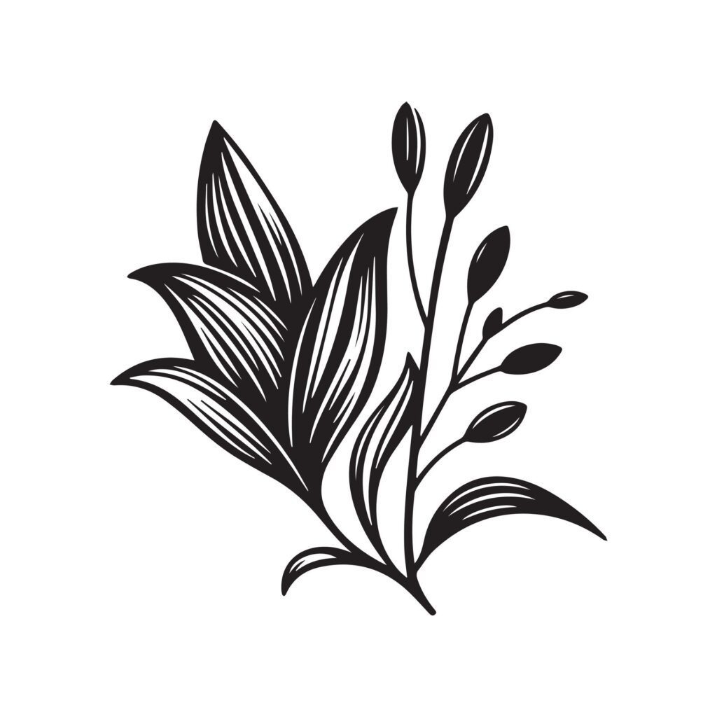 Lily flower silhouette black and white illustration Free Vector