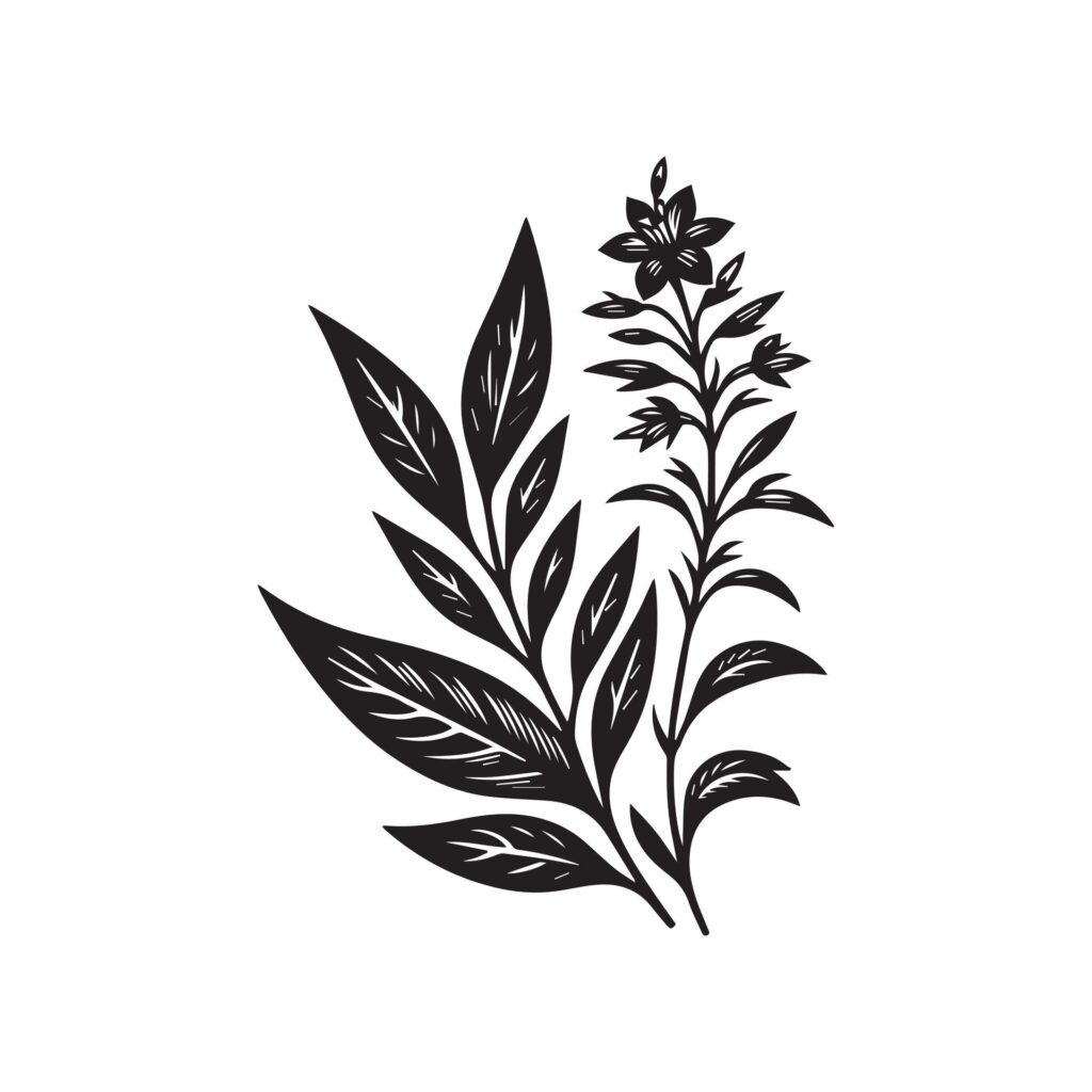 Lobelia flower silhouette black and white illustration Free Vector