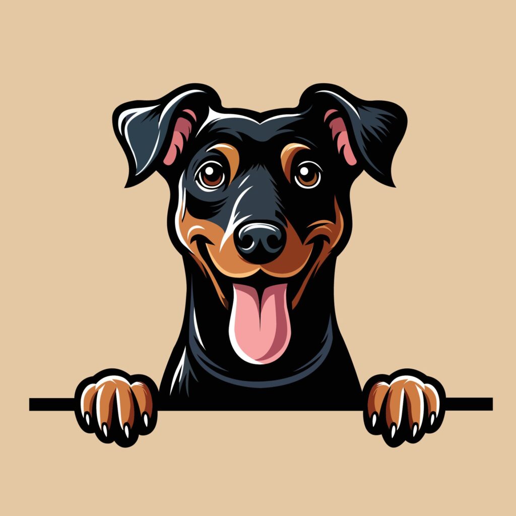 Manchester Terrier peeking face illustration vector Free Vector