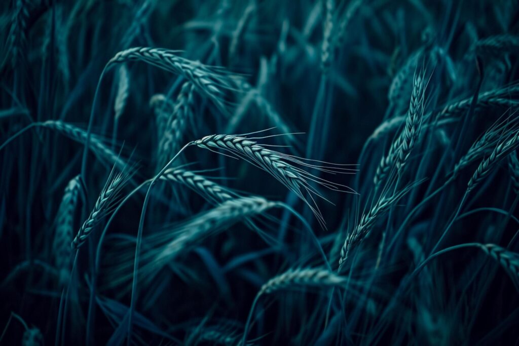 Photo of dark, moody wheat fields. The image depicts close up shots of wheat stalks. Ai Generated Free Photo