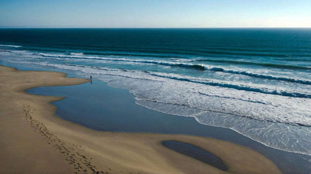 Peaceful Beach side Stroll under Vast Clear Skies with Soft Waves Caressing the Shore Free Photo