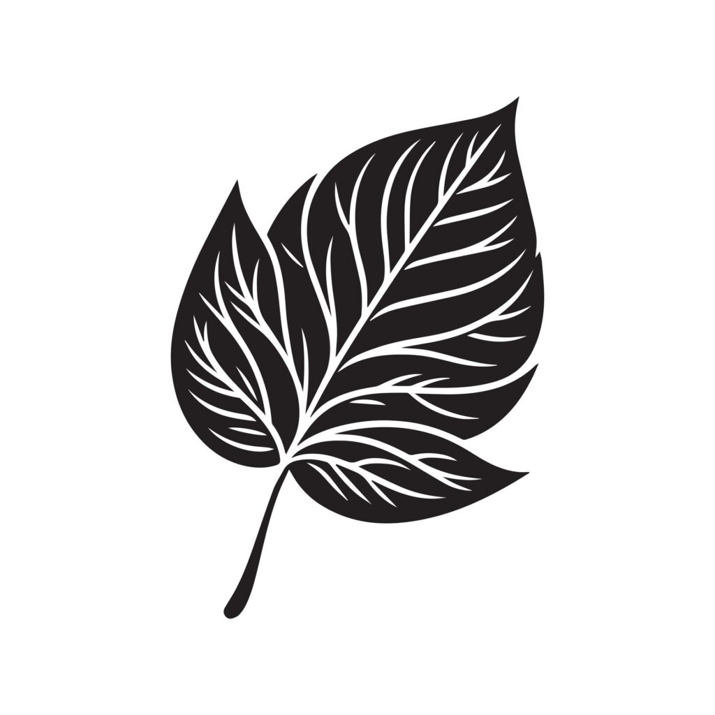 Rose Leaf flower silhouette black and white illustration Free Vector