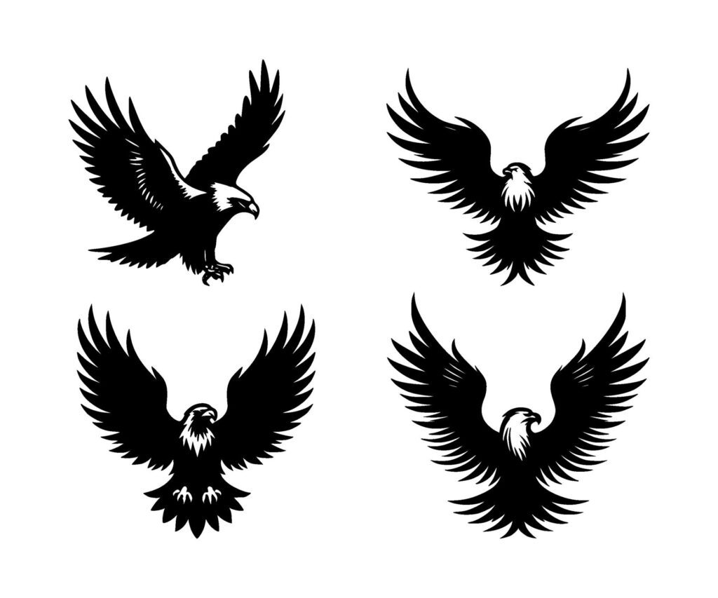 set of eagle bird silhouettes on isolated Free Vector