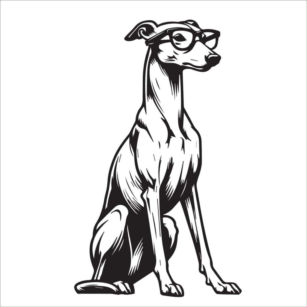 Whippet Dog wearing sunglasses illustration Free Vector