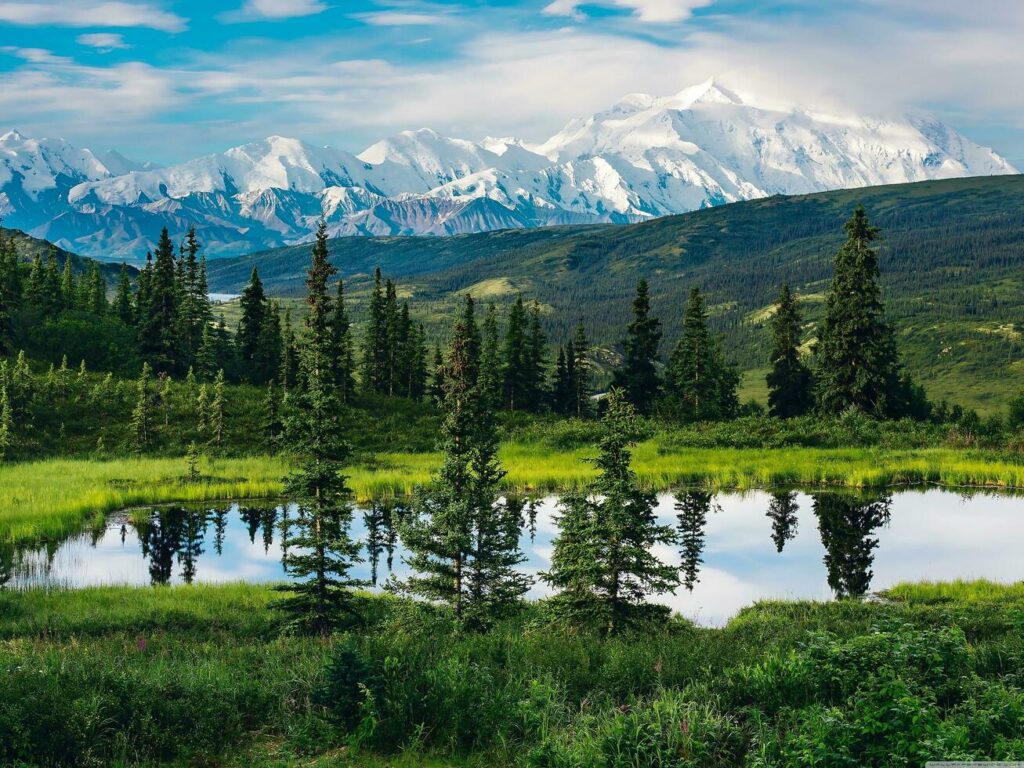 Alaska’s beautiful landscape and amazing, nature view, for anyone who feels like escaping Here, are some mountains, which make our earth beautiful, Mountain landscape, nature background Stock Free