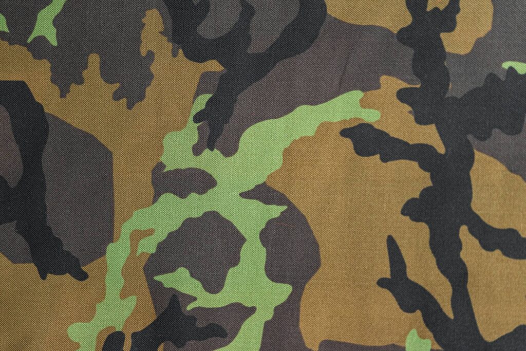 Army Camouflage Pattern Free Photo