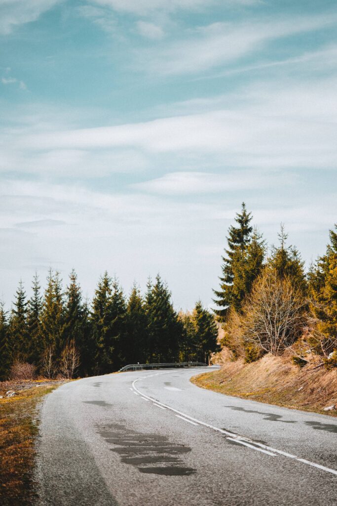 Asphalt Sharp Curve Road along with Forest Free Photo