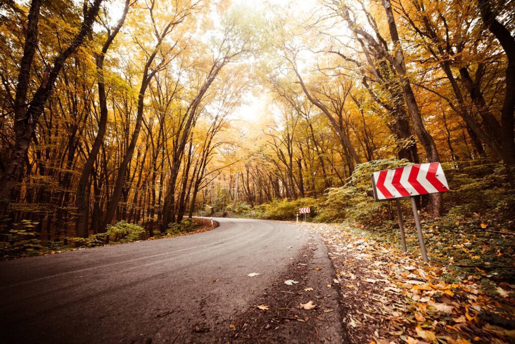 Autumn Long Curved Road Free Photo