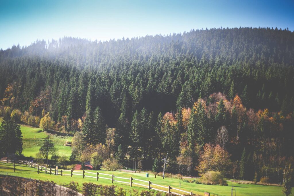 Autumn Morning Panorama Free Photo