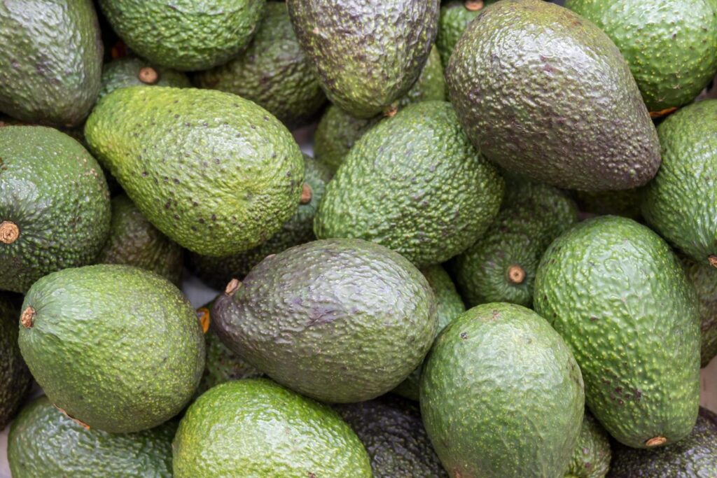 avocado fresh food Stock Free