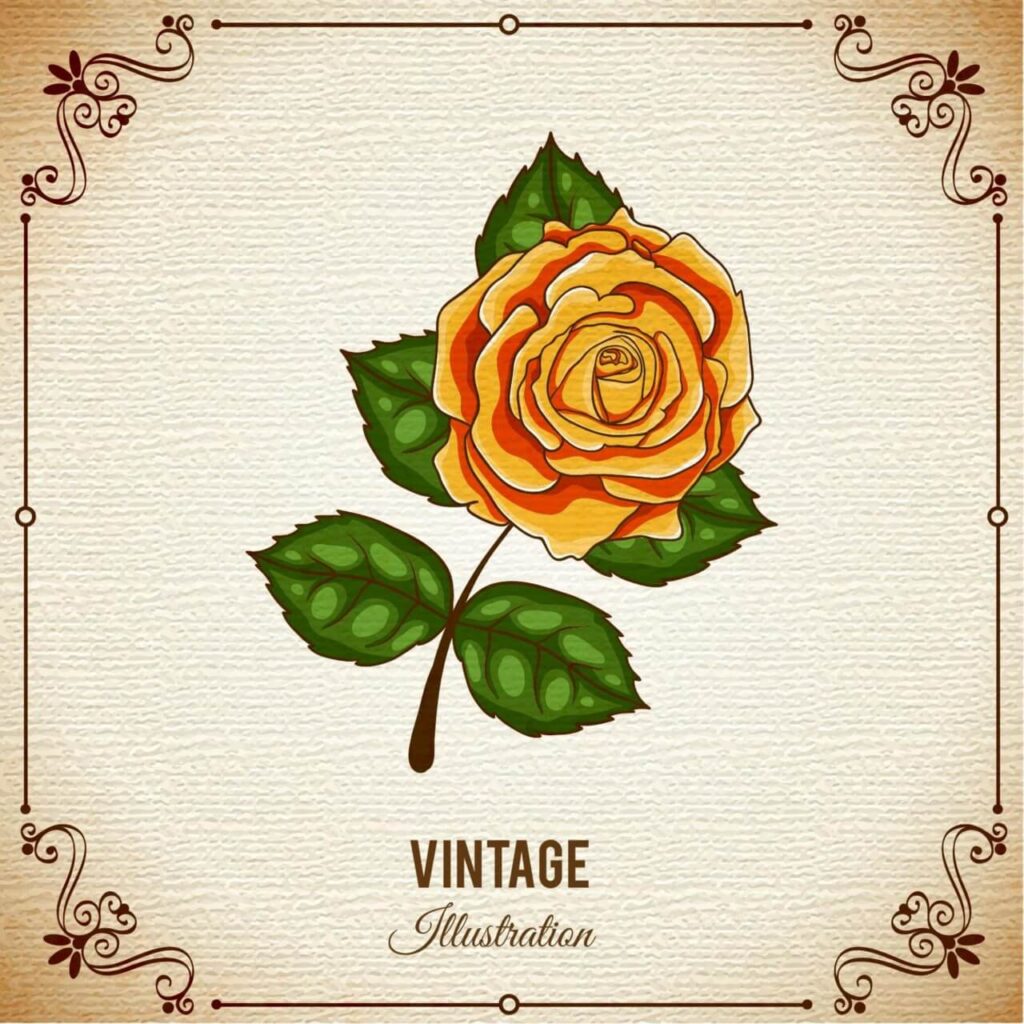 Vintage flower illustration with frame