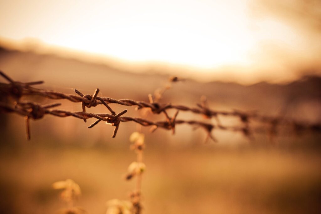 Barbed Wires Free Photo