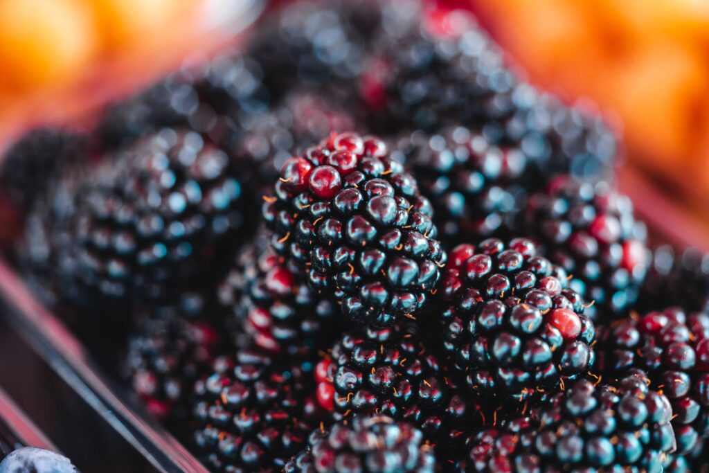 Basket of Blackberries at The Farmers Market Free Photo