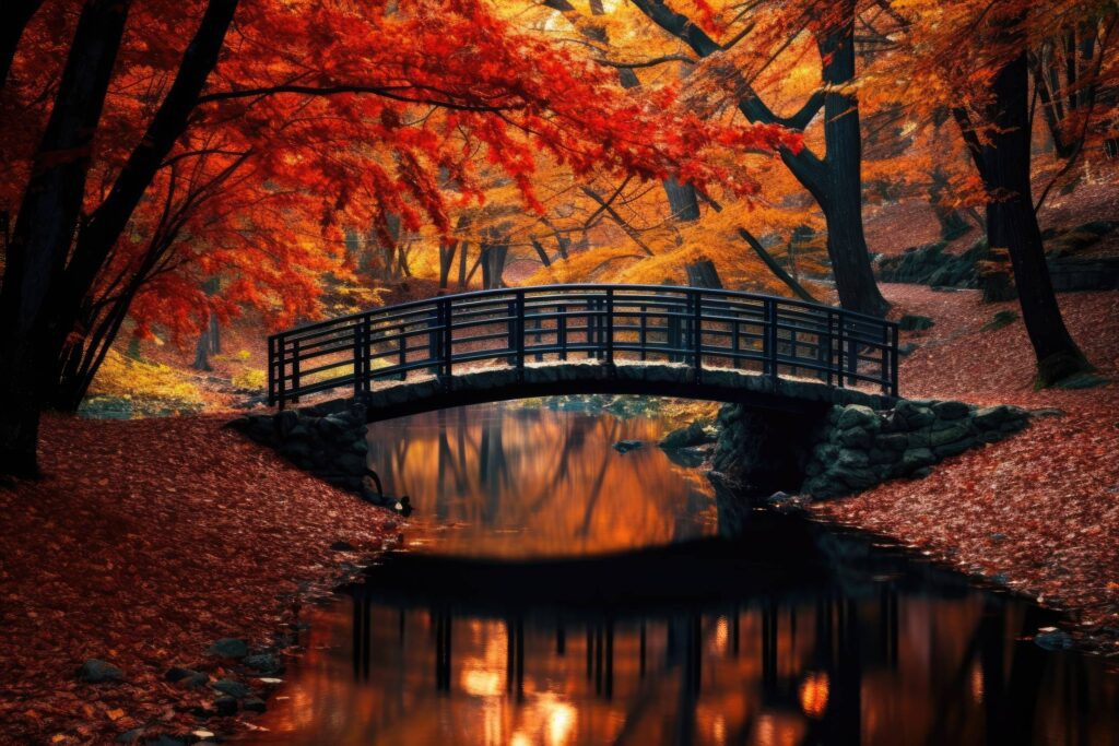 Beautiful Fall Nature Scenery in Park Stock Free