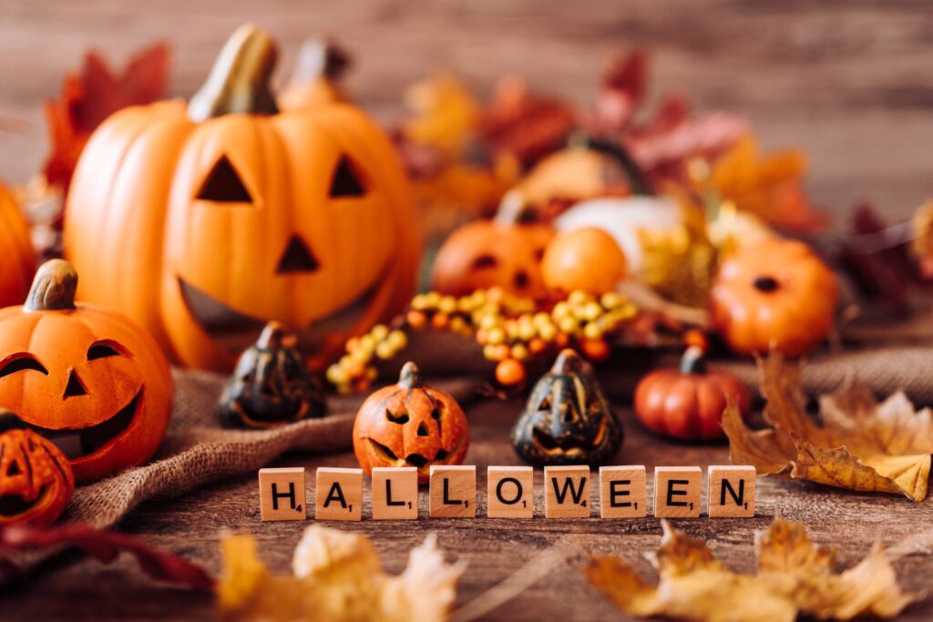 Beautiful Halloween Still Life Free Photo