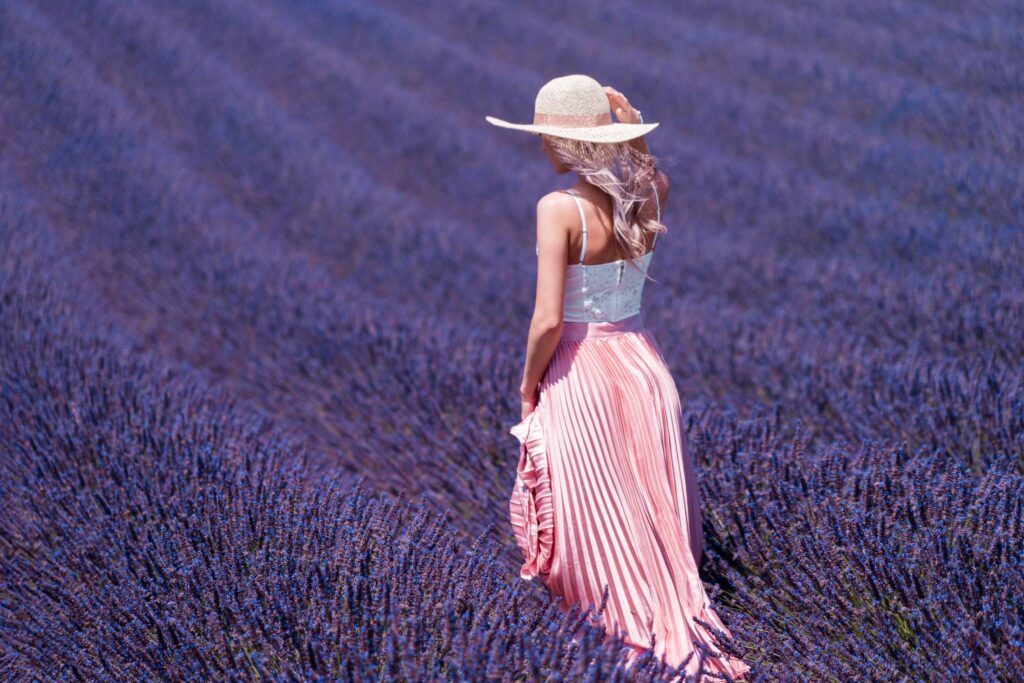 Beautiful Lavender Field Free Photo