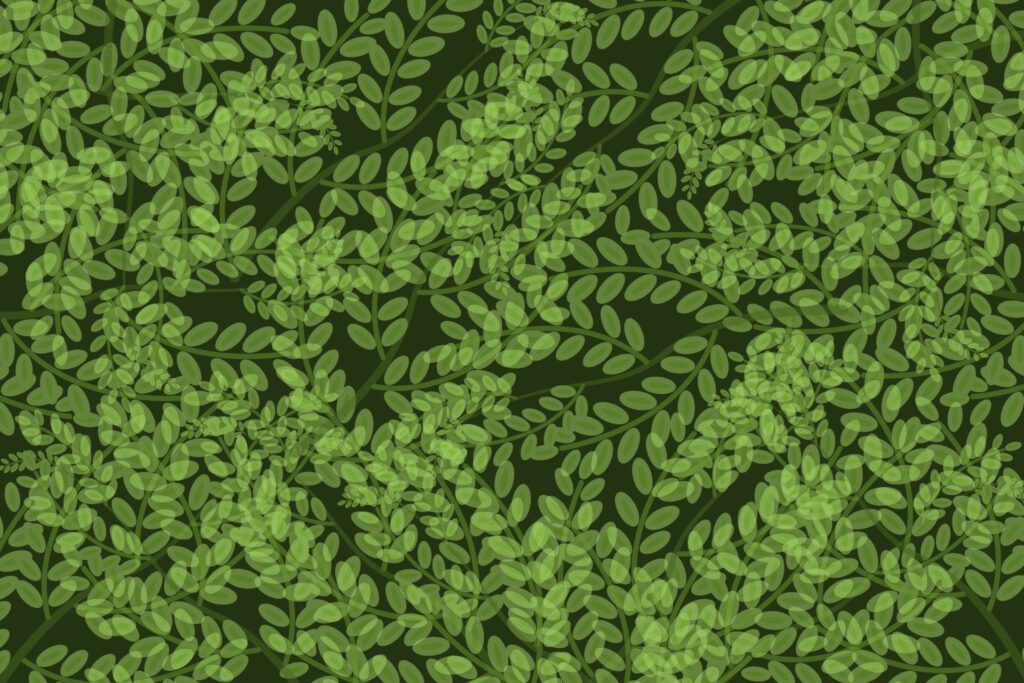 beautiful leaf or nature background in green Free Vector