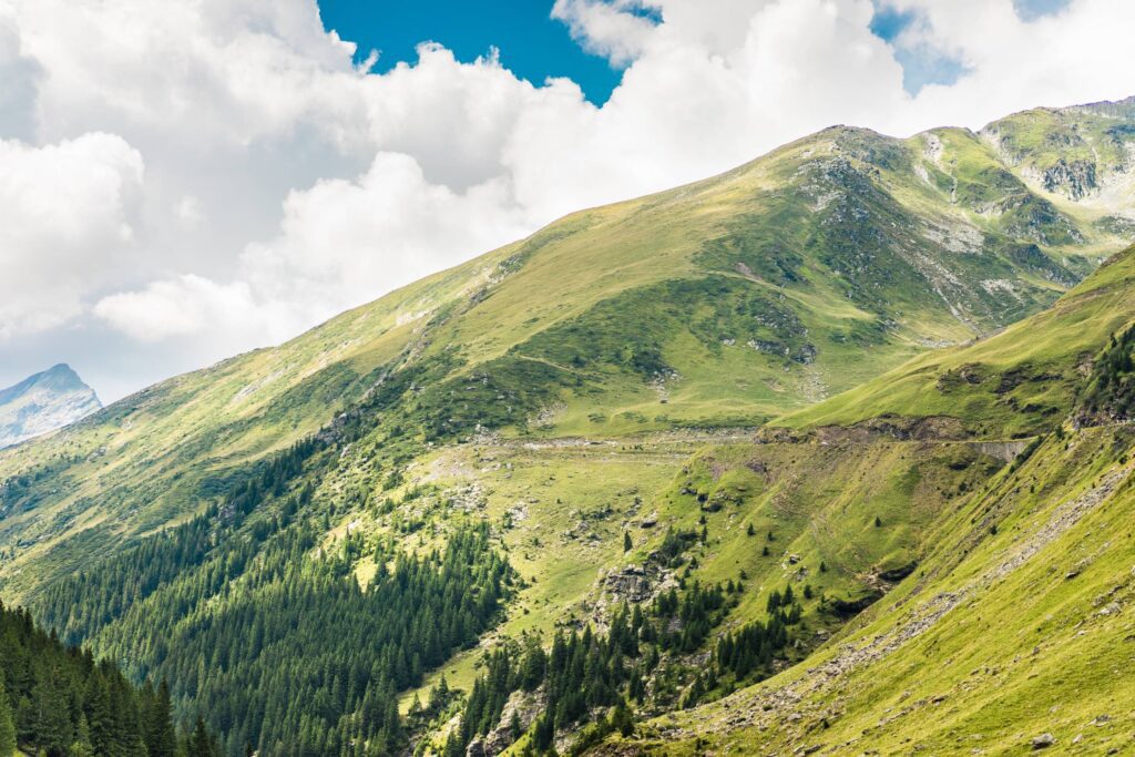 Beautiful Nature in Romanian Mountains Free Photo