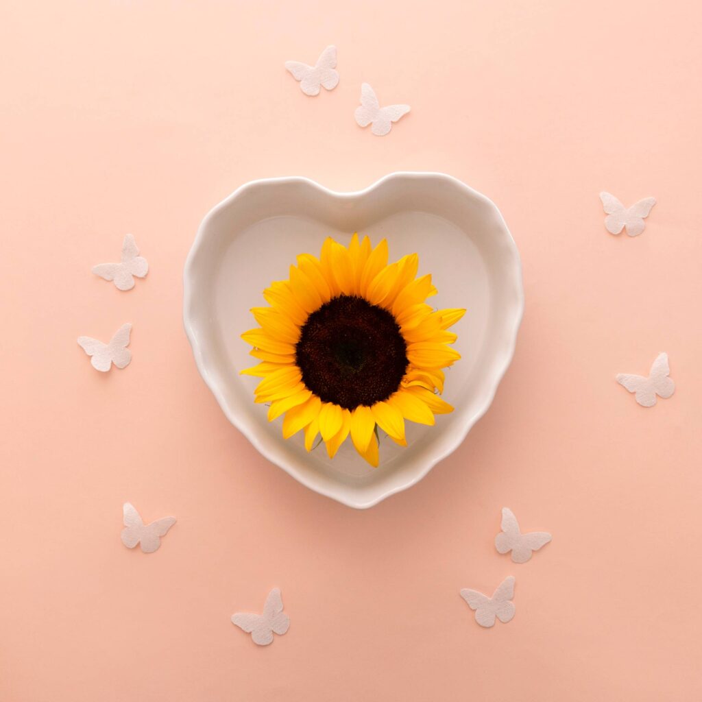 Beautiful Sunflower Flat Lay Free Photo