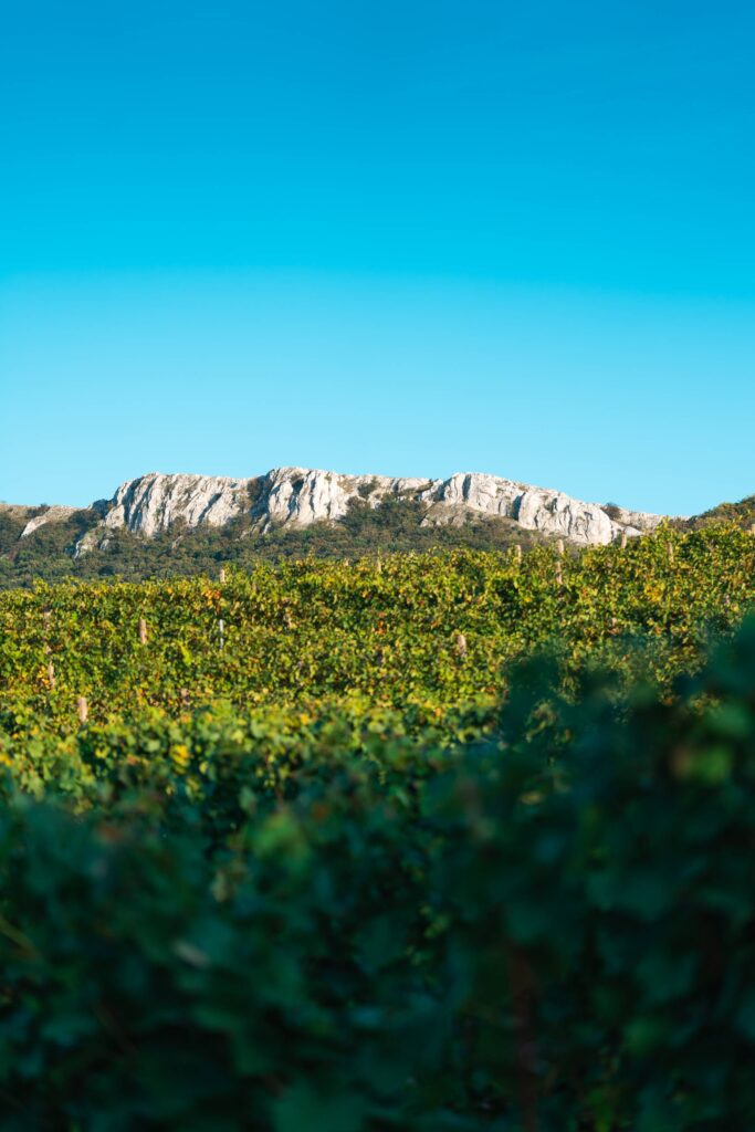 Beautiful View of Pálava Rocks Free Photo