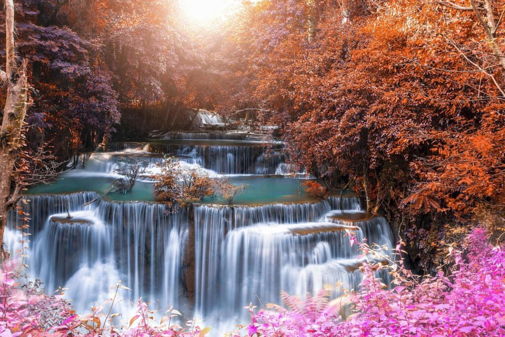 Beautiful waterfall nature scenery of colorful deep forest in summer day Stock Free