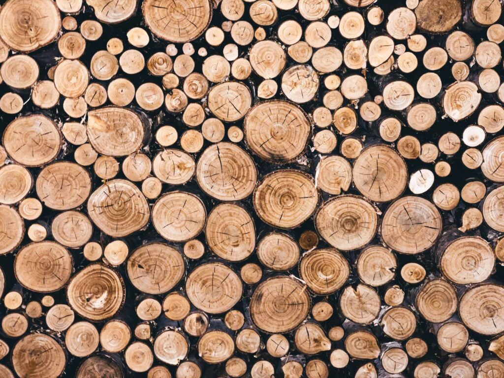 Beautifully Stacked Pile of Fire Wood Free Photo