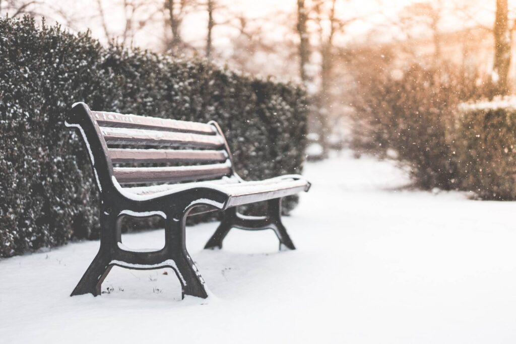 Bench in a Park and Snowy Weather Free Photo