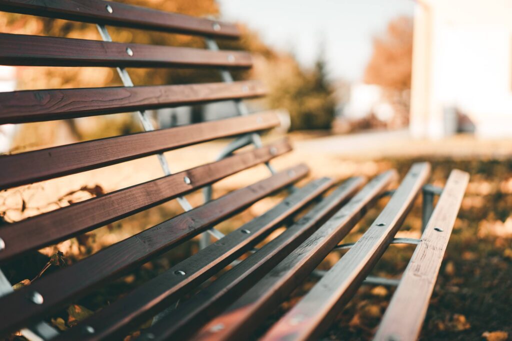 Bench in The Park Close Up Free Photo