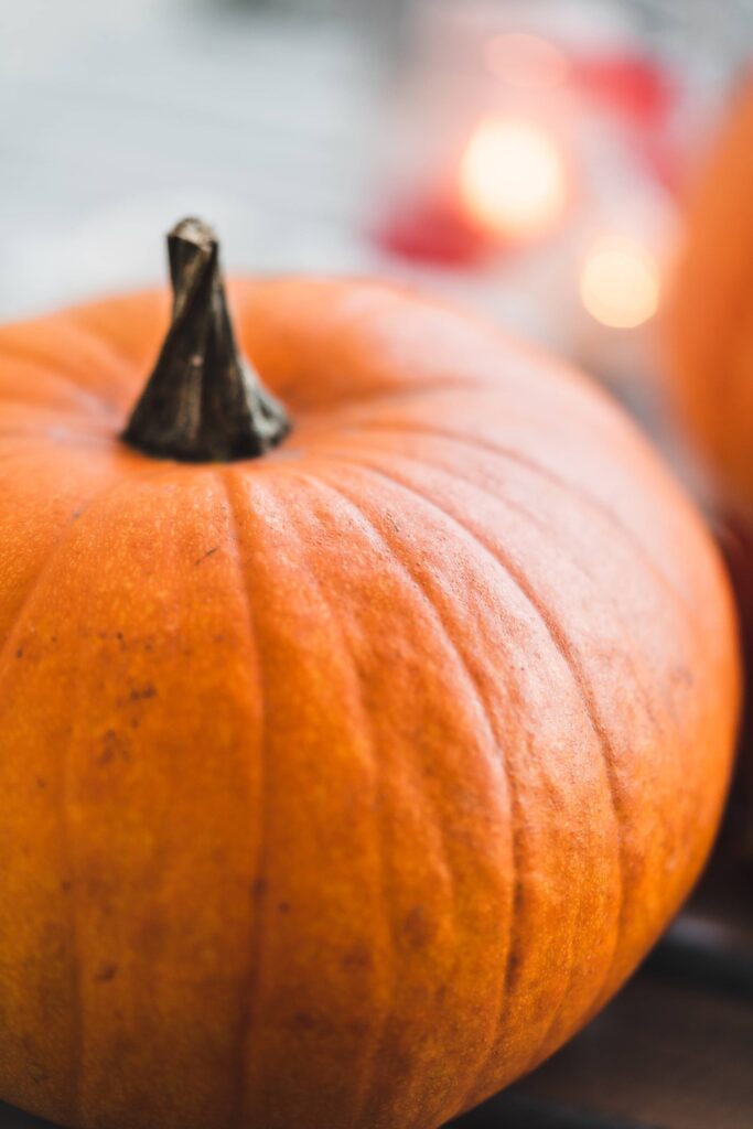 Big Halloween Pumpkin Free Photo