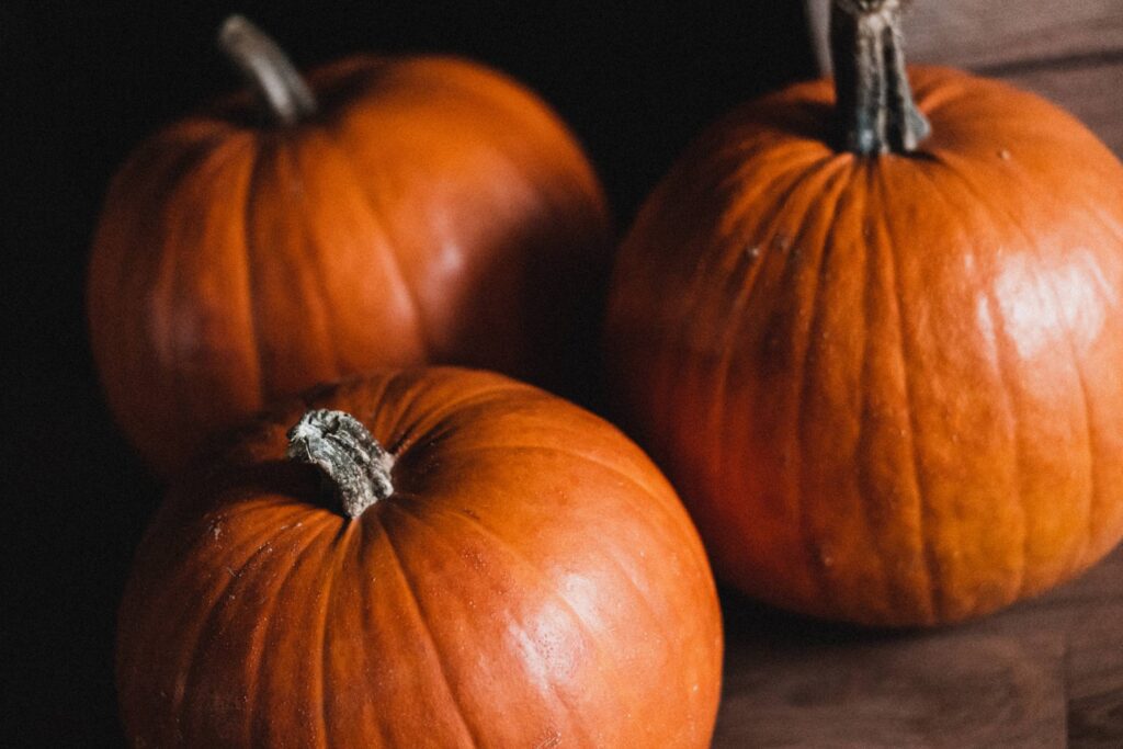 Big Halloween Pumpkins Free Photo