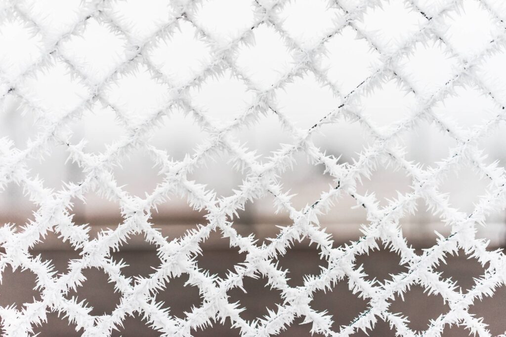 Bitter Cold Hoarfrost vs. Steel Fence Free Photo