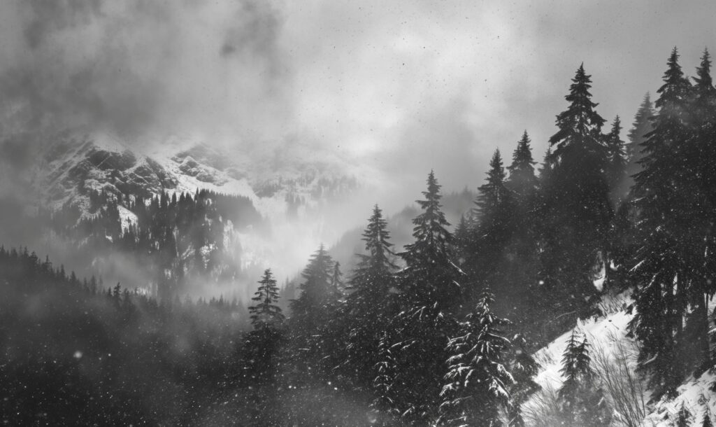 Black and White Photo of Bad Weather in Winter Mountains Stock Free