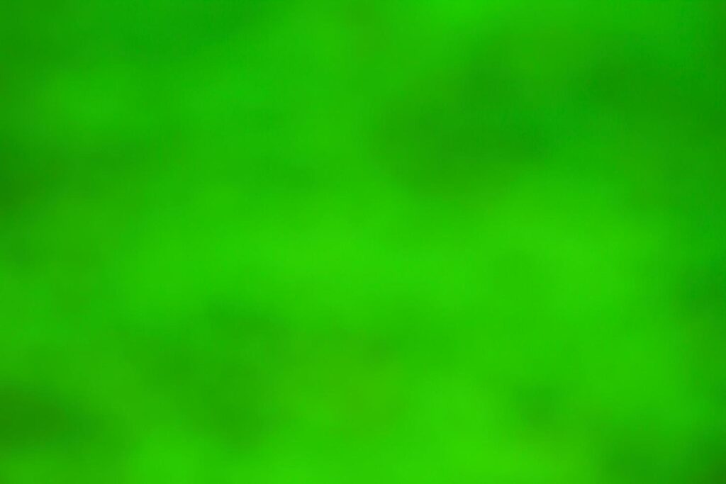 Blur green background Stock Free