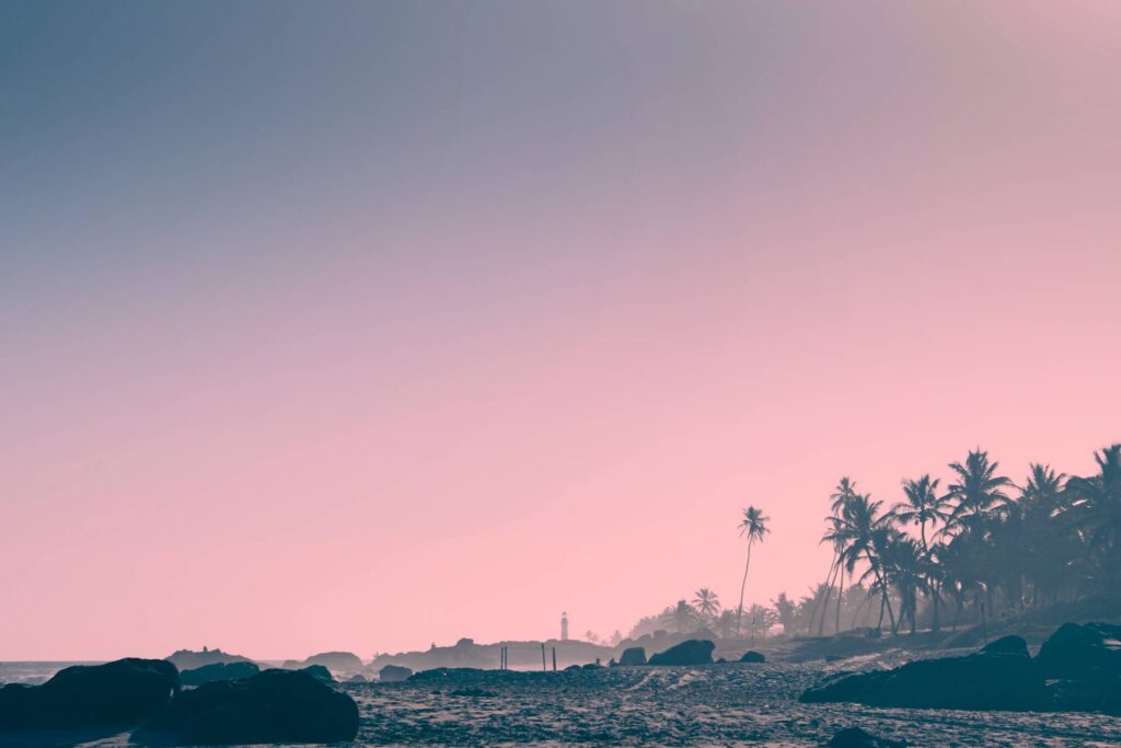 Brazil Beach with Palms and 90′ Vibes Free Photo