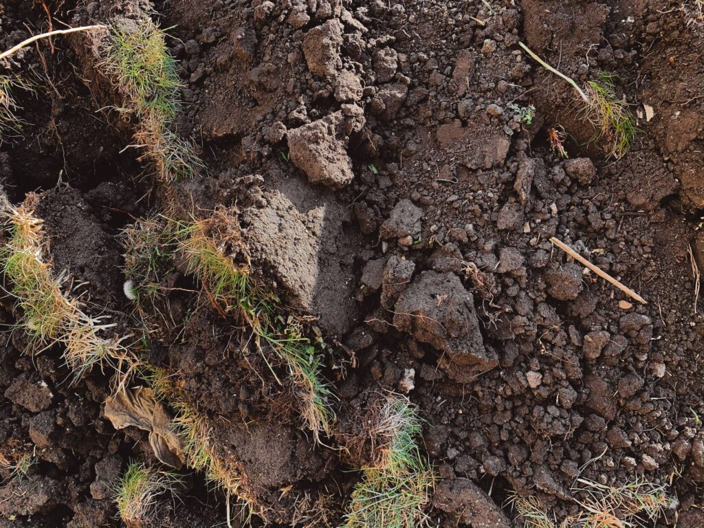 Brown Soil Plowed Field Close Up Free Photo